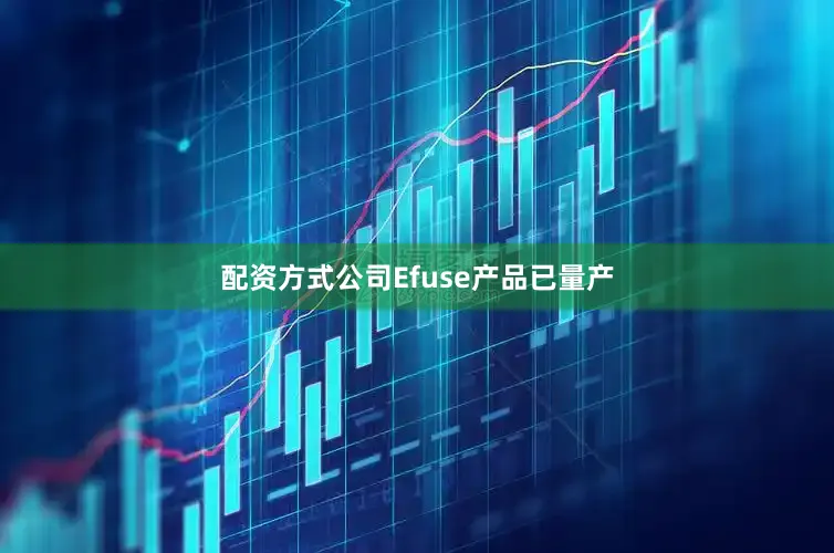 配资方式公司Efuse产品已量产